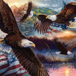 Best reviews of 👏 SunsOut 1000 Pieces Land Of Freedom 🥰