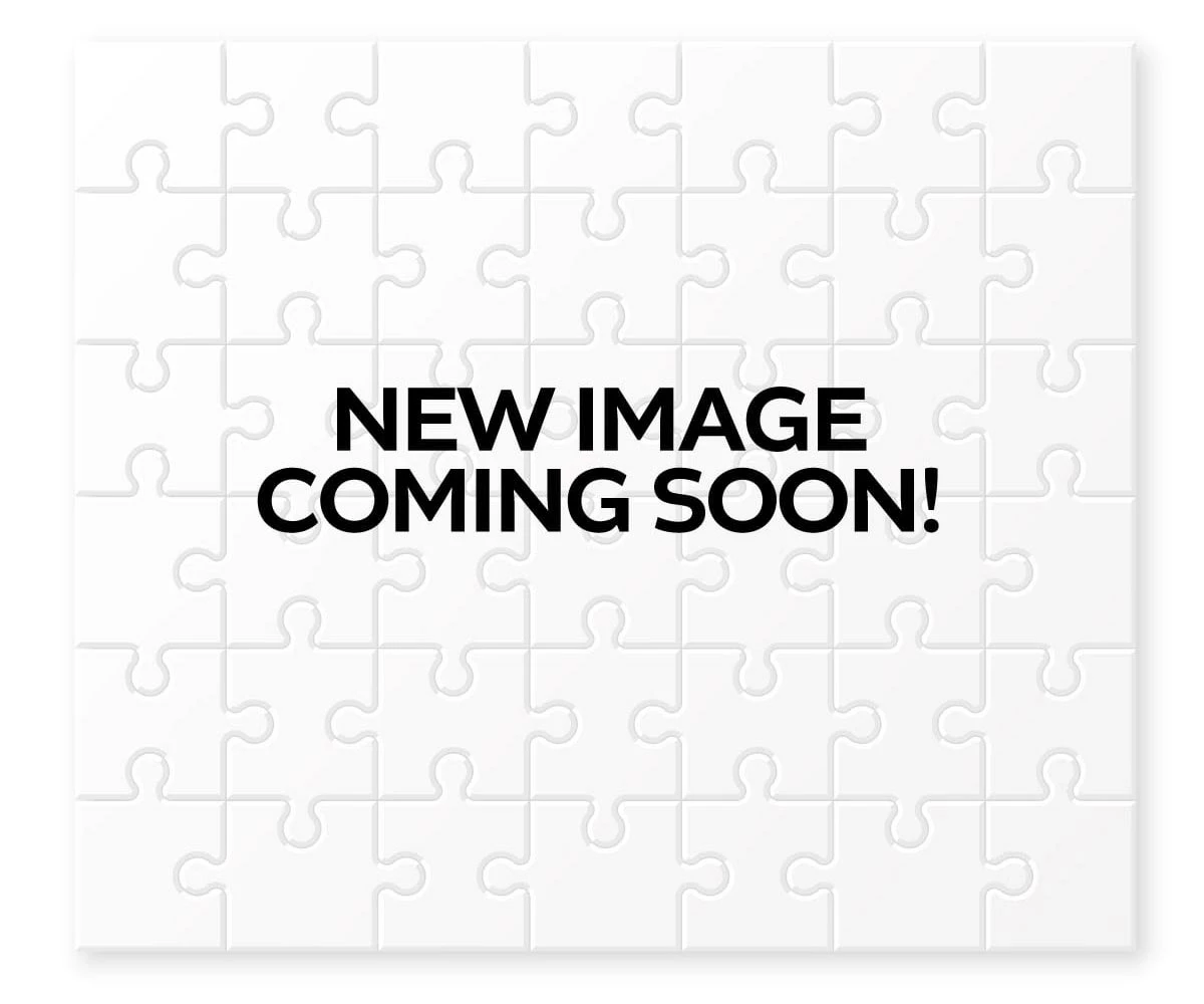 Cheapest 👍 Buffalo Games 500 Pieces Backyard BBQ 😉